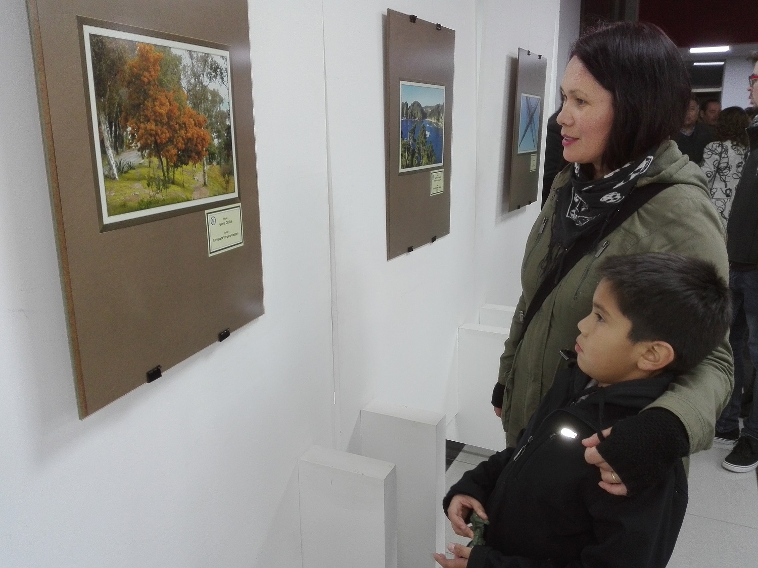 Foto Club Talcahuano expone “Medio Ambiente” en el consistorial
