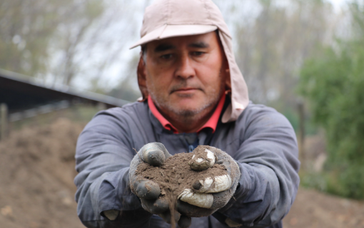 Gelería