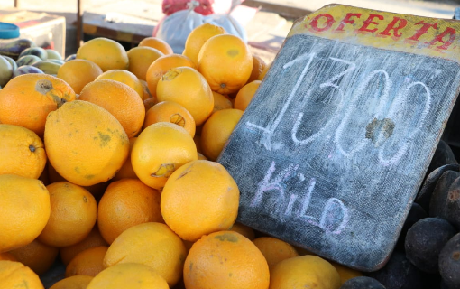 Gelería