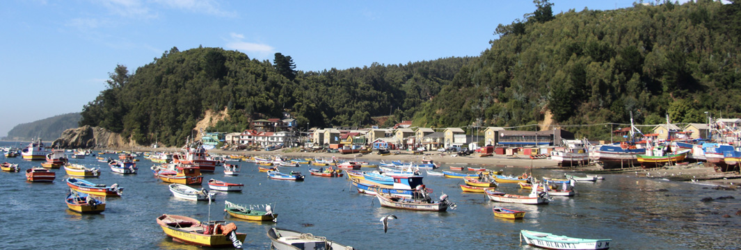 Preparan simulacro de Incendio Forestal y Plan de Evacuación marítima en Caleta Tumbes