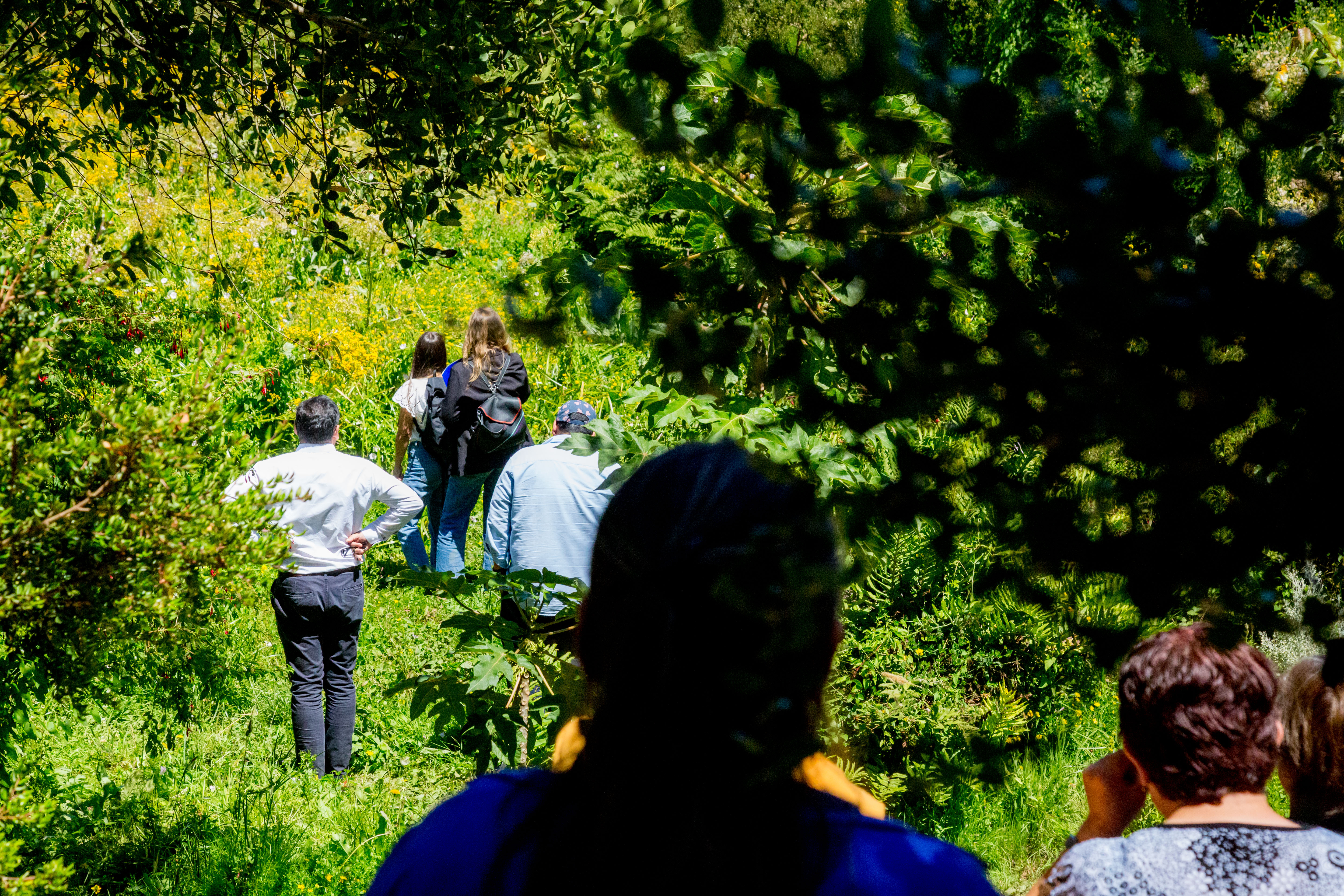 Acceso a subsidios