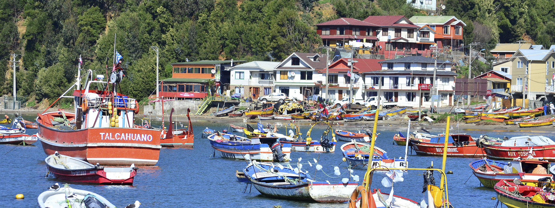 Caleta Tumbes