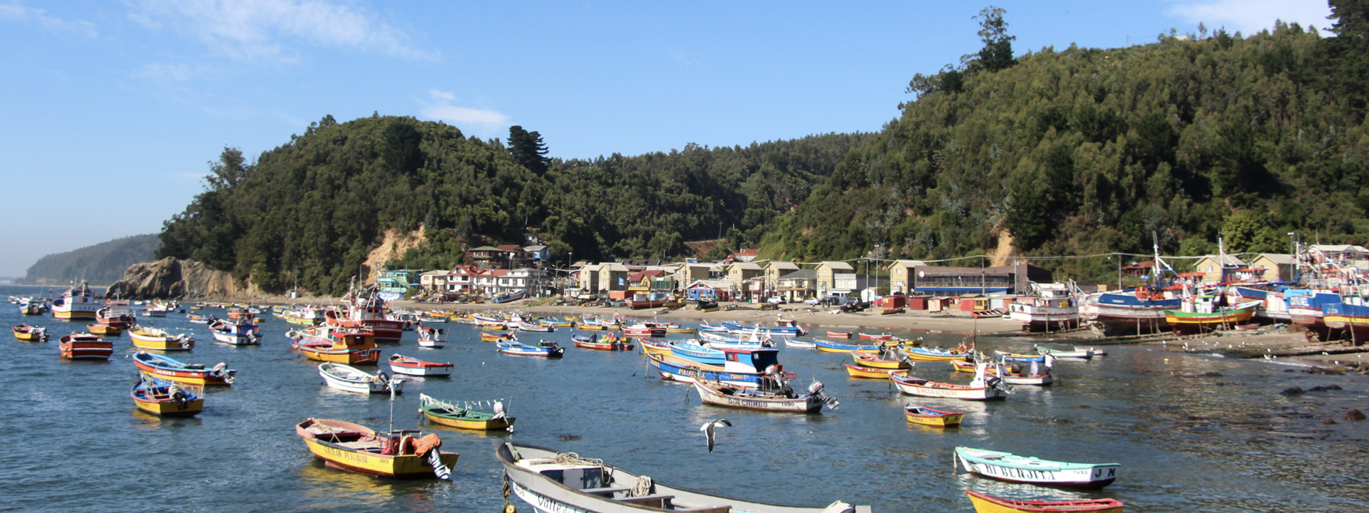 preparan-simulacro-de-incendio-forestal-y-plan-de-evacuacian-maratima-en-caleta-tumbes